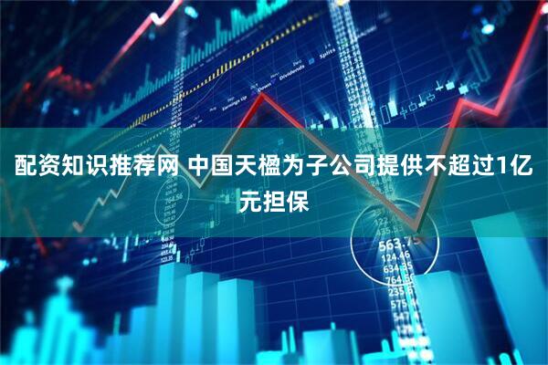 配资知识推荐网 中国天楹为子公司提供不超过1亿元担保