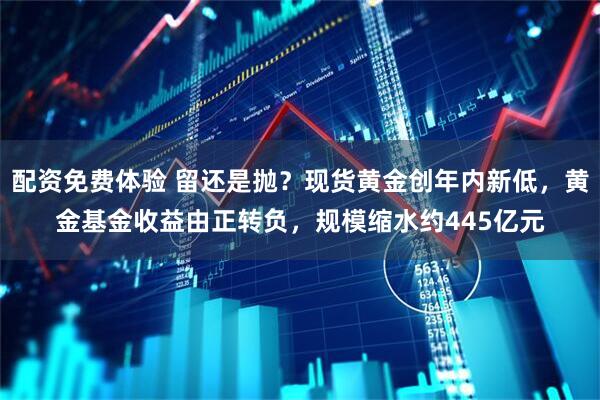 配资免费体验 留还是抛？现货黄金创年内新低，黄金基金收益由正转负，规模缩水约445亿元