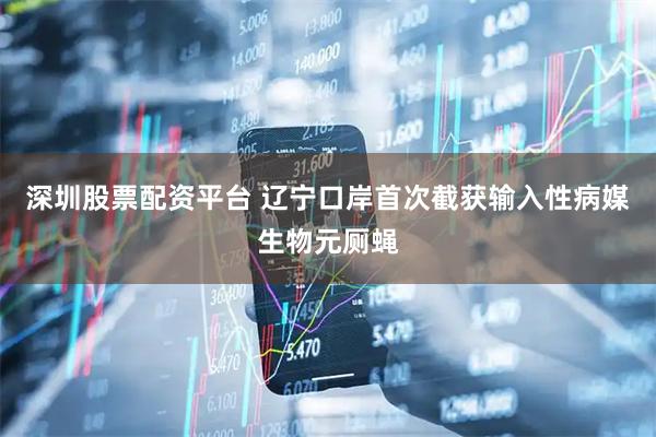 深圳股票配资平台 辽宁口岸首次截获输入性病媒生物元厕蝇